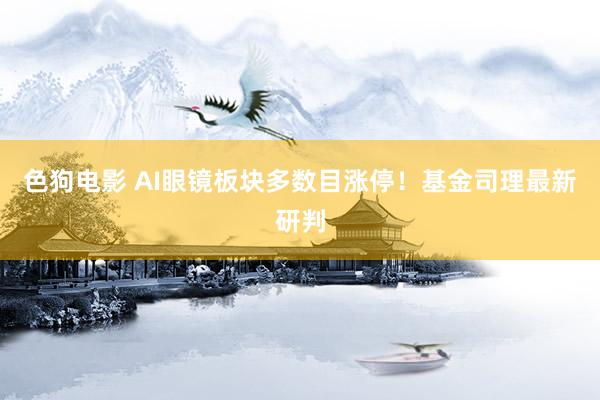 色狗电影 AI眼镜板块多数目涨停！基金司理最新研判