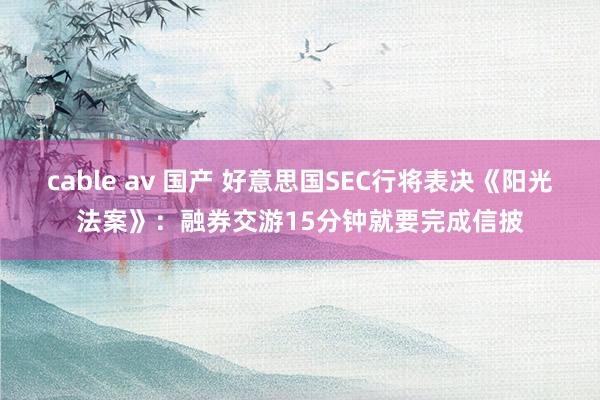 cable av 国产 好意思国SEC行将表决《阳光法案》：融券交游15分钟就要完成信披