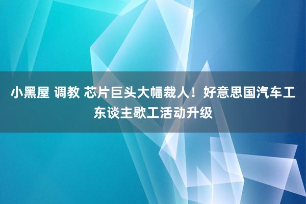 小黑屋 调教 芯片巨头大幅裁人！好意思国汽车工东谈主歇工活动升级