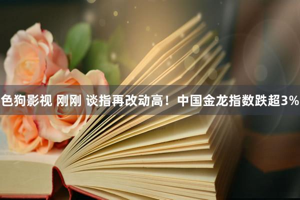 色狗影视 刚刚 谈指再改动高！中国金龙指数跌超3%