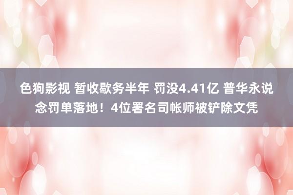 色狗影视 暂收歇务半年 罚没4.41亿 普华永说念罚单落地！4位署名司帐师被铲除文凭