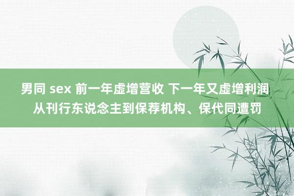 男同 sex 前一年虚增营收 下一年又虚增利润 从刊行东说念主到保荐机构、保代同遭罚