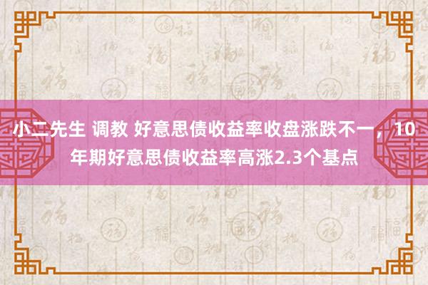 小二先生 调教 好意思债收益率收盘涨跌不一，10年期好意思债收益率高涨2.3个基点
