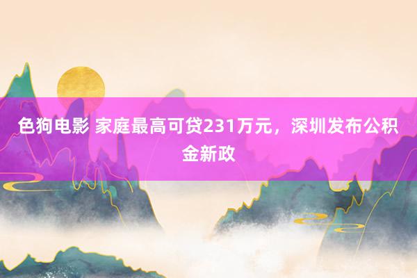 色狗电影 家庭最高可贷231万元，深圳发布公积金新政