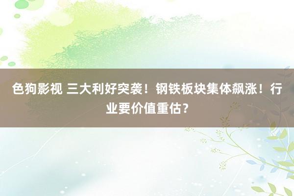 色狗影视 三大利好突袭！钢铁板块集体飙涨！行业要价值重估？