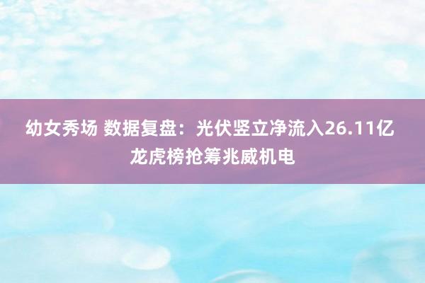 幼女秀场 数据复盘：光伏竖立净流入26.11亿 龙虎榜抢筹兆威机电