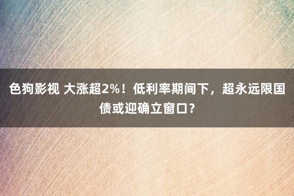 色狗影视 大涨超2%！低利率期间下，超永远限国债或迎确立窗口？
